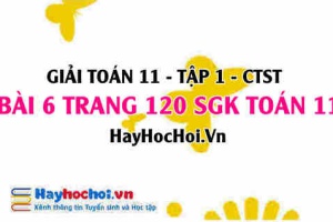 Giải bài 6 trang 120 Toán 11 tập 1 SGK Chân trời sáng tạo